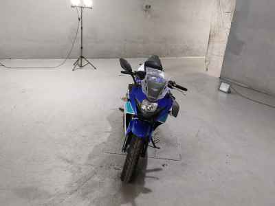 Suzuki GSX250R