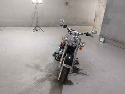 Harley-Davidson Deluxe FLSTN1690 2016