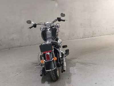 Harley-Davidson Deluxe FLSTN1690 2016