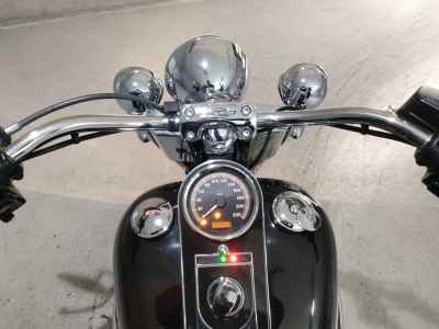 Harley-Davidson Deluxe FLSTN1690 2016