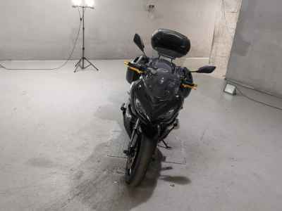 Kawasaki Ninja 1000 2019