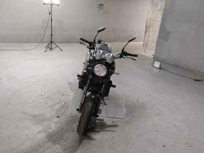 Kawasaki Z900RS 2020