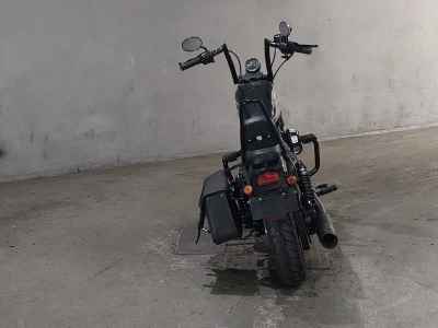 Harley-Davidson Iron XL1200NS 2020