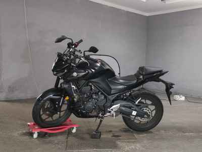 Yamaha MT-25