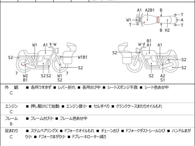 Kawasaki Estrella RS