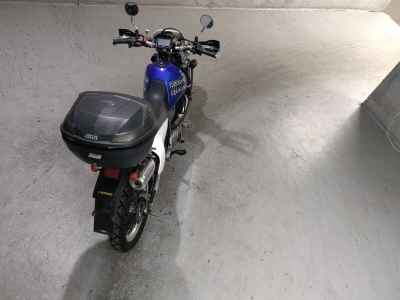 Suzuki DR250R