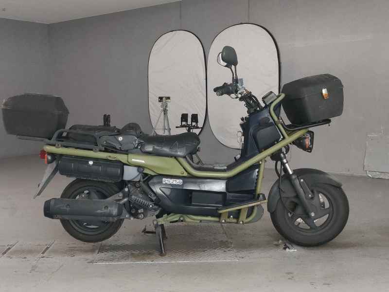 Honda PS250 Big Ruckus
