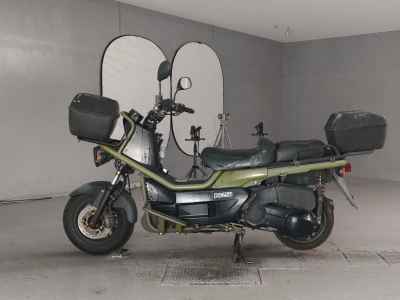 Honda PS250 Big Ruckus