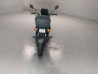 Honda PS250 Big Ruckus