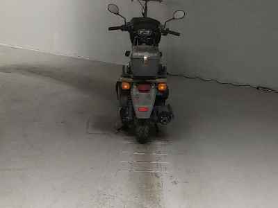 Honda PS250 Big Ruckus