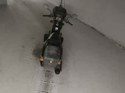 Honda PS250 Big Ruckus