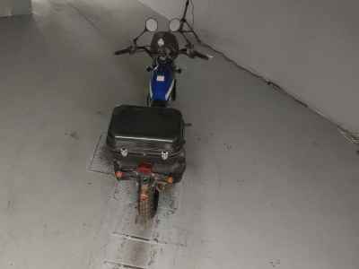 Suzuki GrassTracker Bigboy