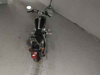 Harley-Davidson Sportster Custom XL1200C 2008