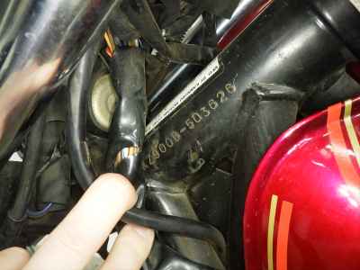 Kawasaki Z900LTD 2025