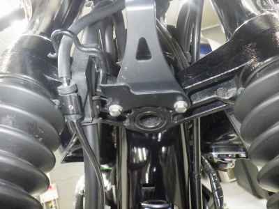 Kawasaki W800 2022