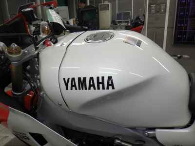 Yamaha XSR900 GP 2025