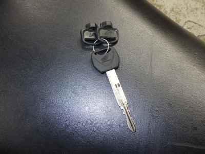 Honda PS250 Big Ruckus 2006