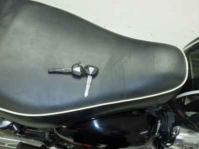 Kawasaki W800 Cafe 2021