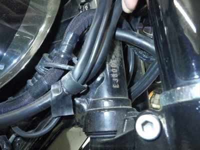 Kawasaki W800 Cafe 2021