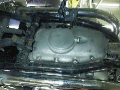 Kawasaki W800 Cafe 2021