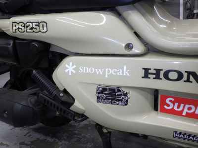 Honda PS250 Big Ruckus 2006