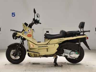 Honda PS250 Big Ruckus 2006
