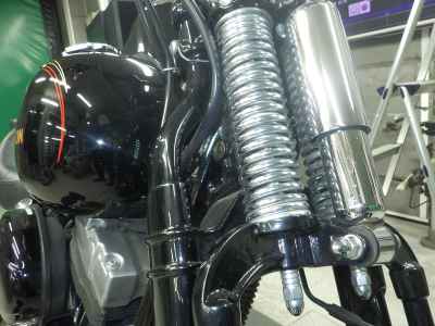 Harley-Davidson Cross Bones FLSTSB1580 2009