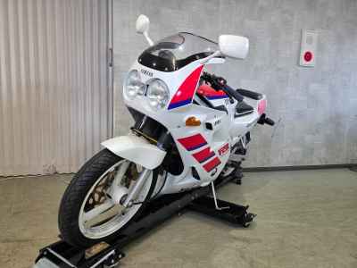 Yamaha FZR250