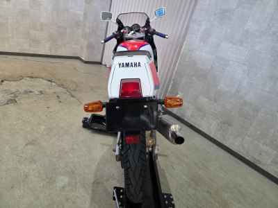 Yamaha FZR250