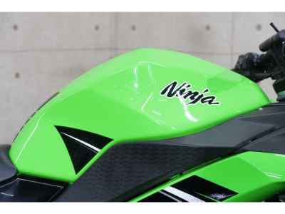 Kawasaki Ninja 250
