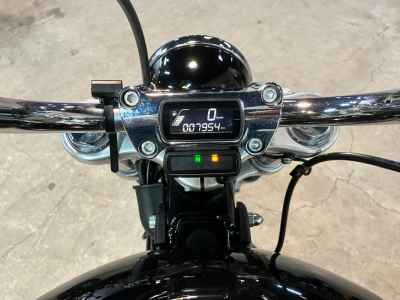 Harley-Davidson FXST 2020