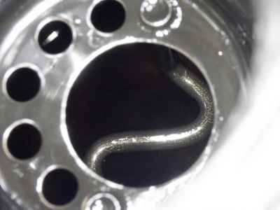 Harley-Davidson Heritage FLHC1750 2018