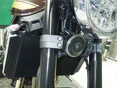 Kawasaki Z900RS 2025