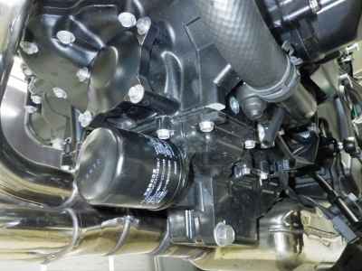 Kawasaki Z900RS Cafe 2021