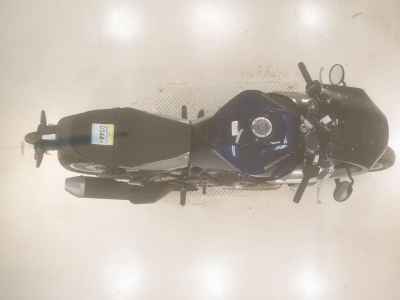 Honda Hawk 11 2023
