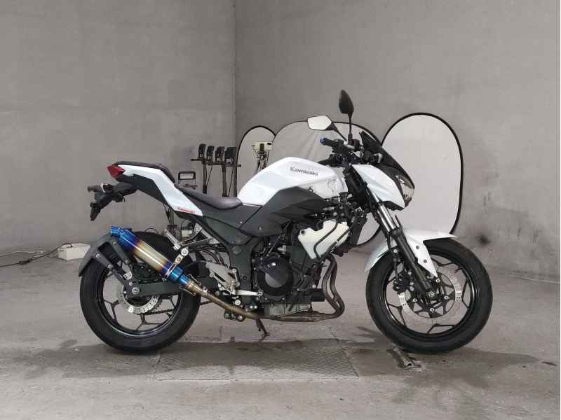 Kawasaki Z250 2013