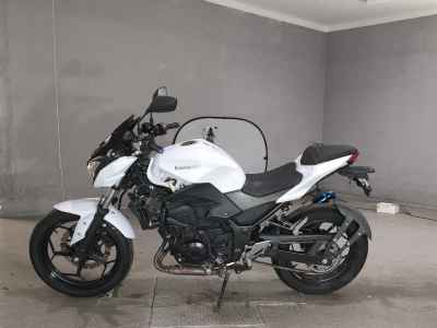 Kawasaki Z250 2013