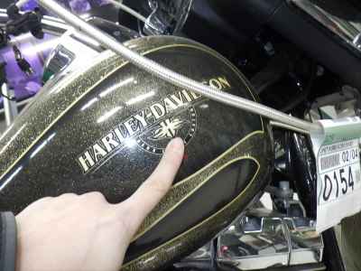 Harley-Davidson Street Glide FLHX1690 2012