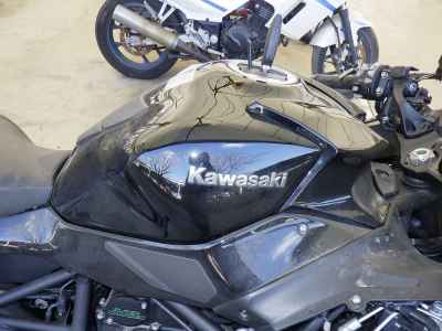 Kawasaki Ninja H2 SX 2024