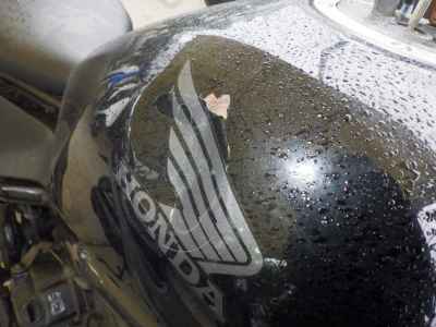 Honda Rebel CMX250 2017