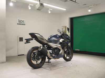 Kawasaki Ninja 250 2023