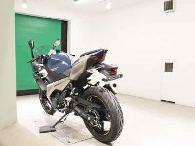 Kawasaki Ninja 250 2023