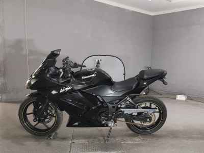 Kawasaki Ninja 250R 2010