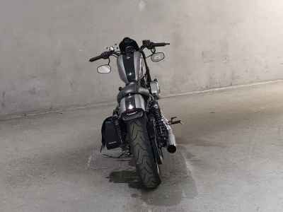 Harley-Davidson Roadster XL1200CX 2016