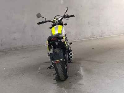 Triumph Scrambler 900 2017