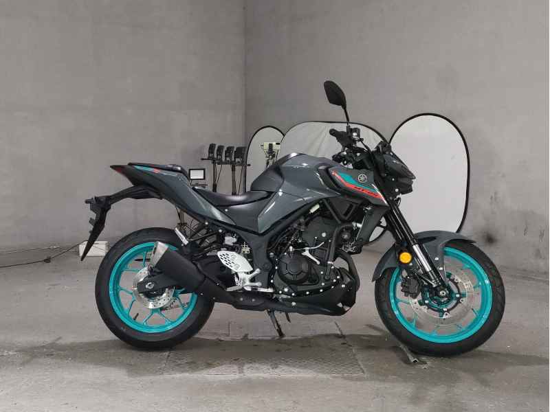 Yamaha MT-25 2022