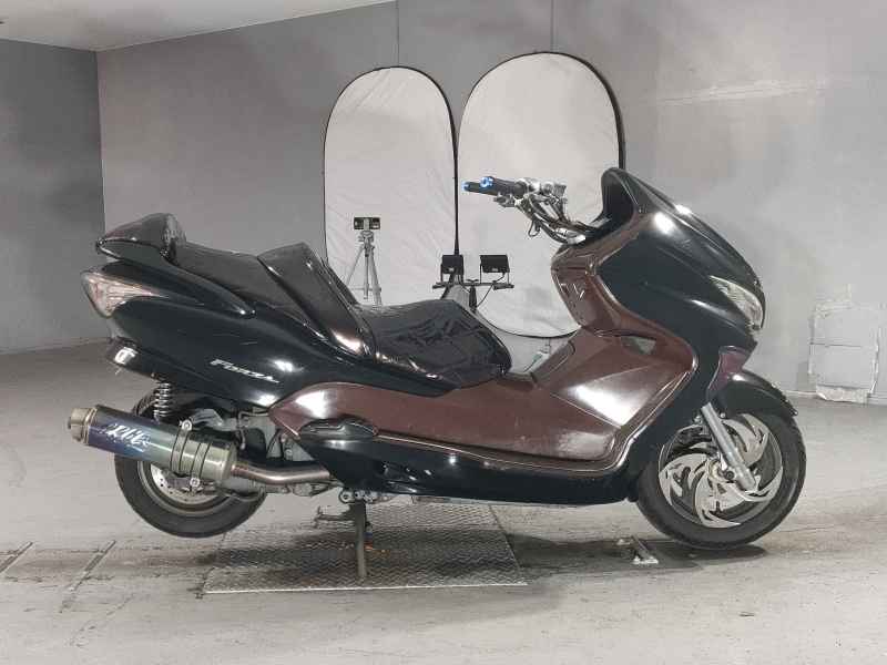 Honda Forza Z 2006
