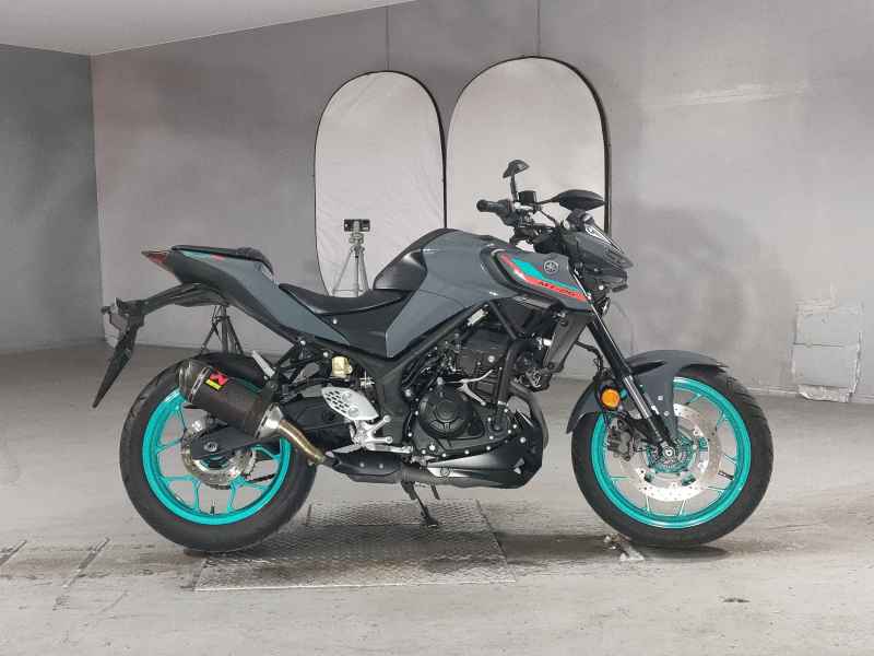 Yamaha MT-25 2022