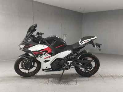 Kawasaki Ninja 250 2020