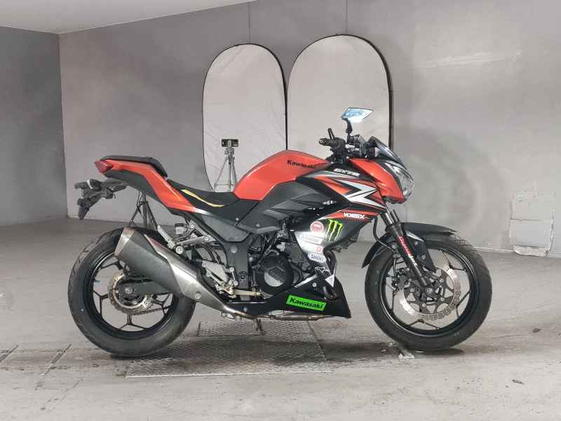 Kawasaki Z250 2014